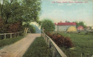 1910's Rochester NY Postcard City Farm, South Park, Rochester NY283 - Picture 1 of 2