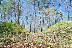 Virginia - Varina Fort Brady D (4x6 Foto) - Bild 1 von 1