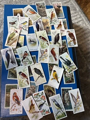 Lote aleatorio de 10 tarjetas de cigarrillo/tabaco de pájaros/alados/animales voladores años 20’s-30’s Foto 1 de 4