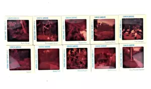 Lote de 10 diapositivas buganvillas vintage Sunken Gardens Florida Pana Vue - Imagen 1 de 12