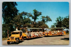 Arboretum Foundation Jeep Trains Trams Vintage c1958 Postcard - Picture 1 of 4