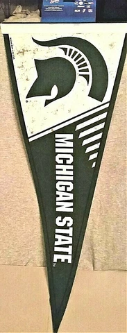 Michigan State Spartans Classic Pennant Cover