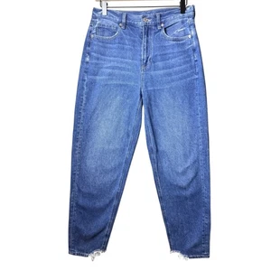 American Eagle Outfitters Blue Relaxed Mom Women's Jean Pants Size 4 - Picture 1 of 12