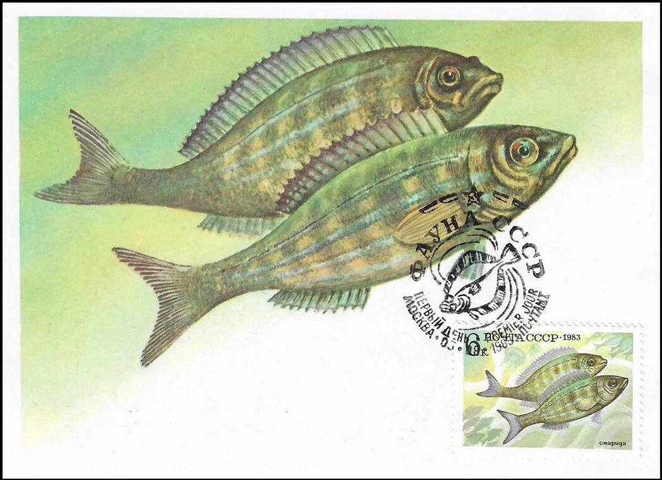 Smarida Fish Swims in Among Colorful Corals Fishing Russia Mint Maxi FDC 1983 - Image 1 of 1