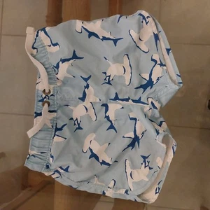 Hanna Andersson boys swim shorts size 2T - Picture 1 of 5