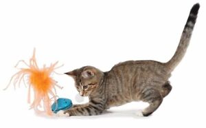 TWIST 'n' TREAT TEASER THE Purrrrrrfect play thing for cats.