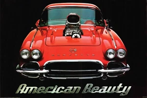 American Beauty Corvette (124) 40”x28” 13 oz Vinyl Banner.  Drag Race NHRA. - Picture 1 of 1