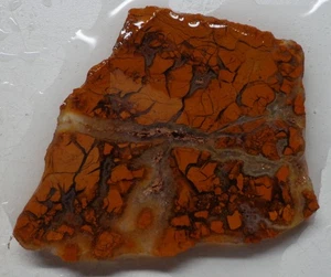 WRG- Brecciated jasper Slab 14 grams Wyoming Lapidary Old Stock - Picture 1 of 4