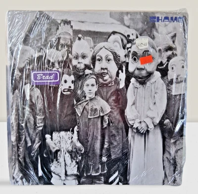 🌀 Brad – Shame [Vinyl LP, 1993] – MINT! Pearl Jam Side Project 🌀 Foto 1 de 4