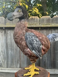 Reproduktion Dodo Taxidermie Ganzkörperhalterung - Bild 1 von 5