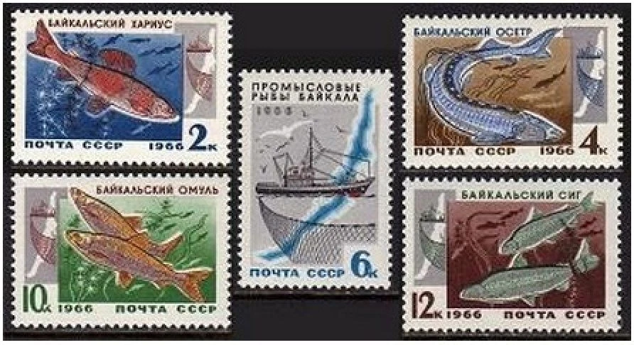 Russia 3240-3244, MNH. Michel 3264-3268. Fish resources of Lake Baikal, 1996. - Image 1 of 1