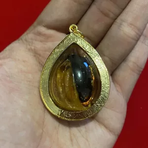 Garuda Kralle Samen magisches Öl Gold Mikron Etui Anhänger Talisman Power Thai Amulett - Bild 1 von 2