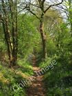 Photo 6x4 Ham Lane Wivelsfield Green The route dates back to the Iron Age c2011