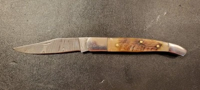 Brussel Knives Handmade Hunting Bushcraft Folding Knife Ram Horn Handle- CF3022 - Image 1 of 4