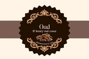 Oud Bakhoor Incense Cones Slow Burning Agarbatti Wood Aroma 18-Pack 80g Floral - Picture 1 of 8