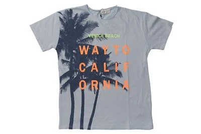 Camiseta Zara Niño Venice Playa Estampado Gráfico Talla 10 Nueva Con Etiquetas Foto 1 de 4