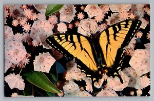 Greetings From Dewart Pennsylvania PA Butterfly Flowers Postcard 1960 - Picture 1 of 2