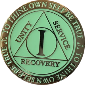 1 Año AA Medallón Reflejo Verde Brillo en La Oscuridad Sobriedad Moneda - Imagen 1 de 6