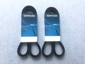 DAYCO DRIVE FAN BELT KIT for NISSAN NAVARA D40 2.5L YD25 TURBO DIESEL 12/2005-ON - Picture 1 of 2