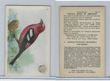 J7, Church & Dwight, Useful Birds America 3rd Ser., 1922, #8 White-w Crossbill