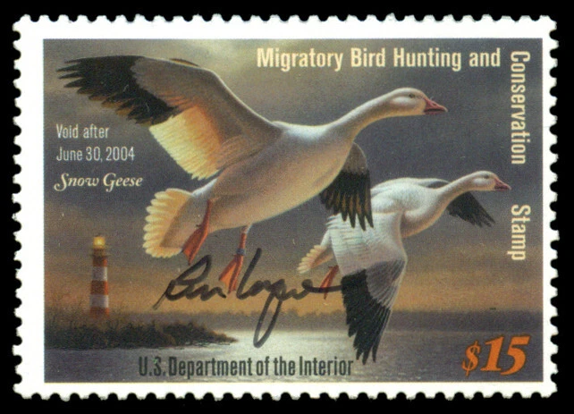 RW70S — Federal Duck Stamp signed by artist Ron Louque. ON SALE! - Image 1 of 1