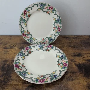 2x 8.5" Side Plates Royal Cauldon "Victoria" Pattern, Vintage Retro - Picture 1 of 5