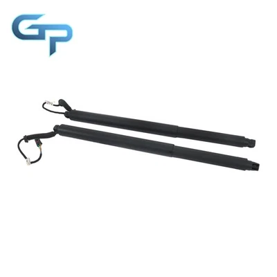 Barra de soporte de puerta trasera izquierda derecha eléctrica 905605AA1A para Nissan Murano 2015-2020 Foto 1 de 4