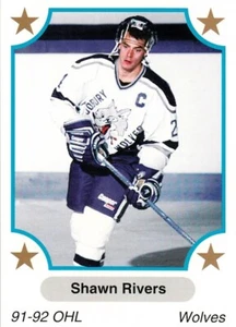 SHAWN RIVERS (SUDBURY WOLVES) 91-92 OHL SERIES CARD - CARD NUMBER 260 - Picture 1 of 2