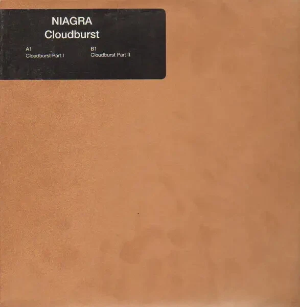Niagara Cloudburst Vinyl Single 12inch Fuel - Bild 1 von 1