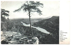 Postal CHATTANOOGA TN SEÑAL MONTAÑA Lone Pine/Walden's Ridge TENNESSEE RIVER - Imagen 1 de 2