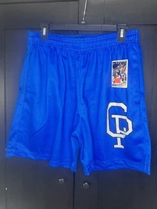 NBA Short Crisp Branded shorts Royal, Red, USA, Grey, Black Mitchell n Ness Nike - Picture 1 of 29