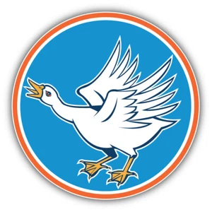 Calcomanía adhesiva para parachoques de coche con etiqueta Angry Swan - "TALLAS" - Imagen 1 de 1