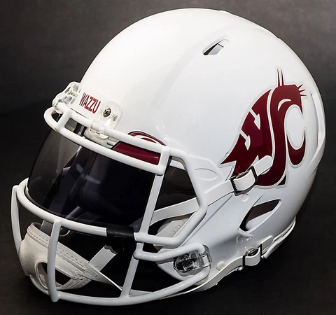 *CUSTOM* WASHINGTON STATE COUGARS NCAA Riddell SPEED Replica Football Helmet Cover