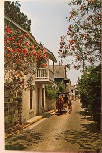 Florida FL St Augustine Aviles Street Historical Postcard Old Vintage Card View