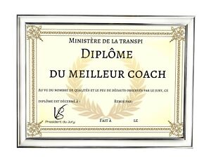 Cadre Diplôme / Certificat / Photo 21x29,7 cm / A4 Moderne Argent, Blanc en Bois