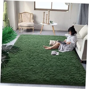 DweIke Super Soft Shaggy Rugs Fluffy Carpets, 3x5 ft 3 ft x 5 ft Dark Green - Picture 1 of 8