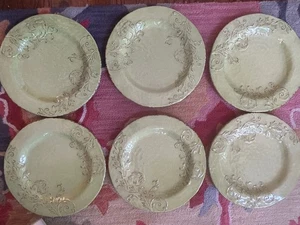 APHORISM Green Crackle Rustic Floral Melamine Dinner Plates Set of 6 - Picture 1 of 3