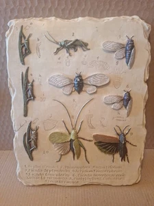 Metamorphosis Grasshopper Cycle Ceramic Wall Plaque Decoline New York Handmade  - Picture 1 of 5