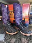Ferrini italia Womens Size 9 B Black Purple Leather Caiman Cowboy Boots S-Toe