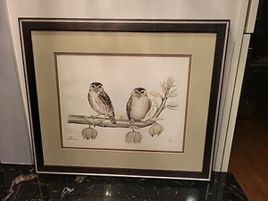 Original Rex Brasher #379-1 Hand Colored Bird Print Hoskins Pygmy Owl - Read - Picture 1 of 12