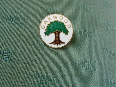 2000 OAKWOOD INTEGRATED PRIMARY SCHOOL BELFAST NORTHERN IRELAND ENAMEL PIN BADGE - Image 1 of 2