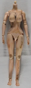 Maßstab 1/6 12" Gelenk weiblicher Mädchen Puppenkörper mit Abnutzungsspuren & Silikon Torso Zombie - Bild 1 von 6