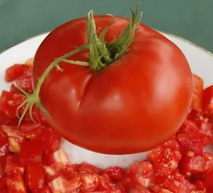 "DELICIOSA ""VARIEDAD DE SEMILLAS DE TOMATE**** A GRANEL 100 UNIDADES PKT*** REBANADORA GIGANTE*CARNE" - Imagen 1 de 1