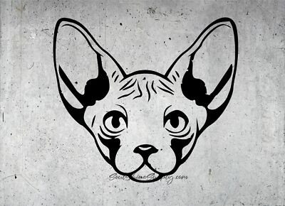 Calcomanía adhesiva Sphynx gato gatito sin pelo Foto 1 de 3