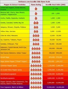 Scoville Hot Peppers Scale Poster, Kitchen Wall Art, Chili Pepper Decor - Picture 1 of 6