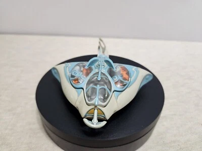 SUBMARINO GUNGAN FLOTA DE ACCIÓN STAR WARS.  SIN FIGURAS. Foto 1 de 4