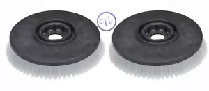 2 cepillos de fregado Nyloscrub de alta densidad Numatic 280 mm (11") octo (606252) - Imagen 1 de 2