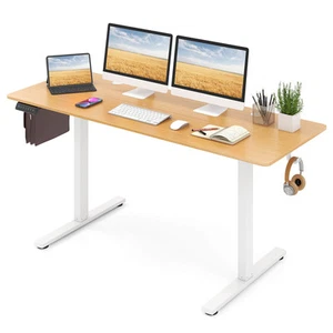 63 x 24 Inch Sit Stand Desk Height Adjustable Electric Standing Desk Natural - Picture 1 of 10