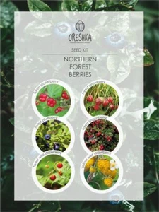 Set of seeds - Northern Forest berries / Northern Forest berries - Picture 1 of 7