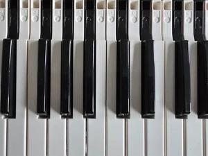 Ersatzschlüssel / Federn für Korg M1. Passt für Korg 01, T3, Yamaha DX7, Triton - Bild 1 von 19